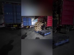 Carregamento de exportação